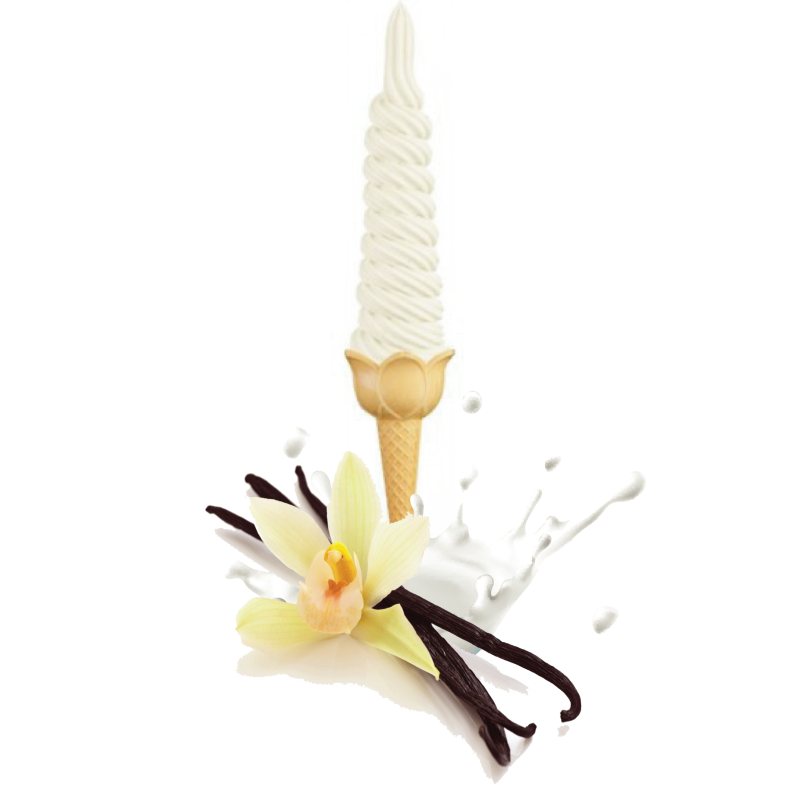 LODY ŚWIDERKI ŚMIETANKOWO- WANILIOWE 10 kg LODY ŚWIDERKI ŚMIETANKOWO- WANILIOWE 10 kg